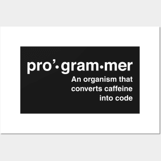 Definition of programmer Posters and Art